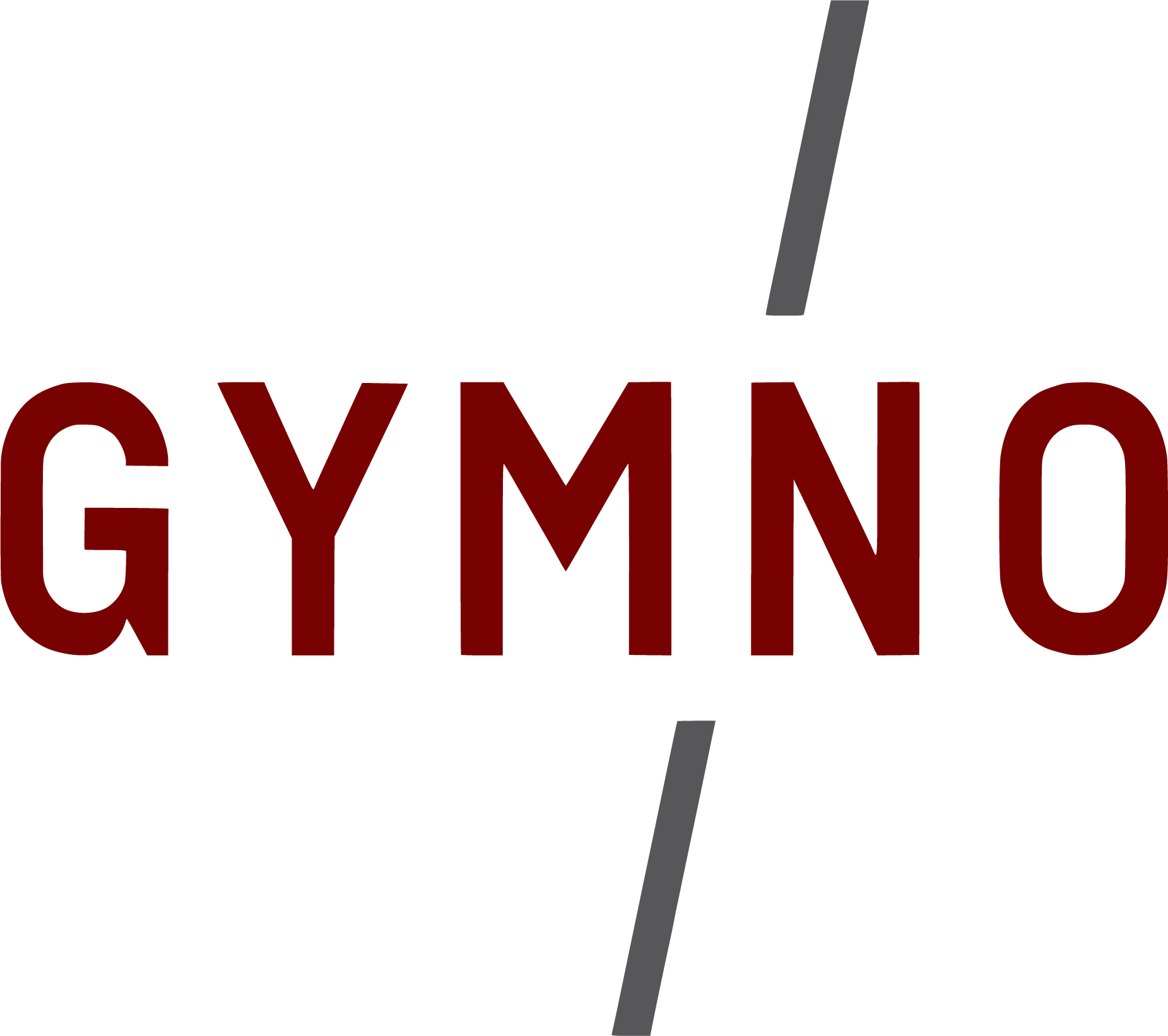 Gymnasium Nieder-Olm